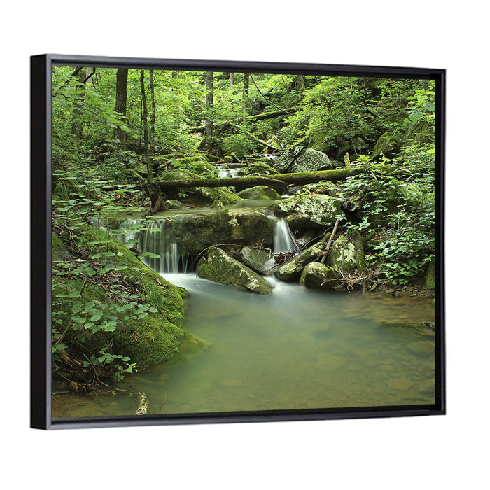 Arkansas Forest Stream Wall Art as a framed canvas