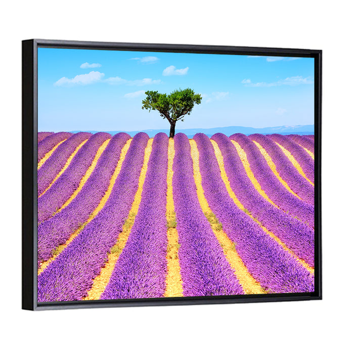Lavender Field Wall Art as a framed canvas