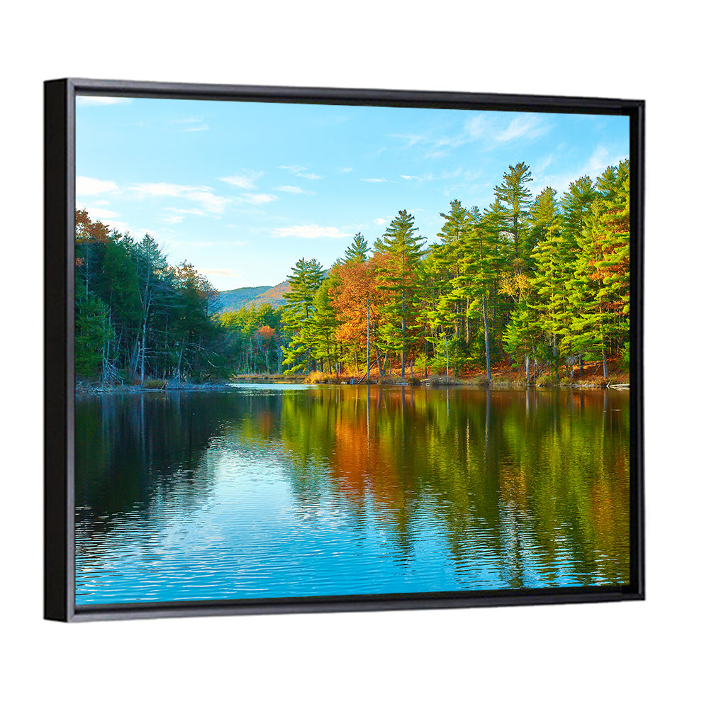 White Mountain National Forest II Wall Art