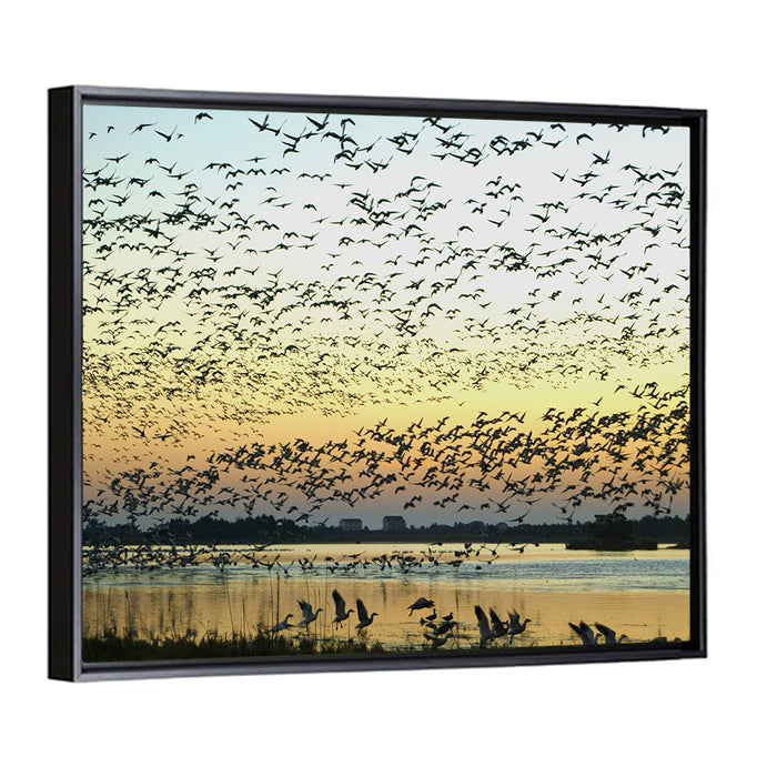Snow Geese Over River Wall Art as a framed canvas