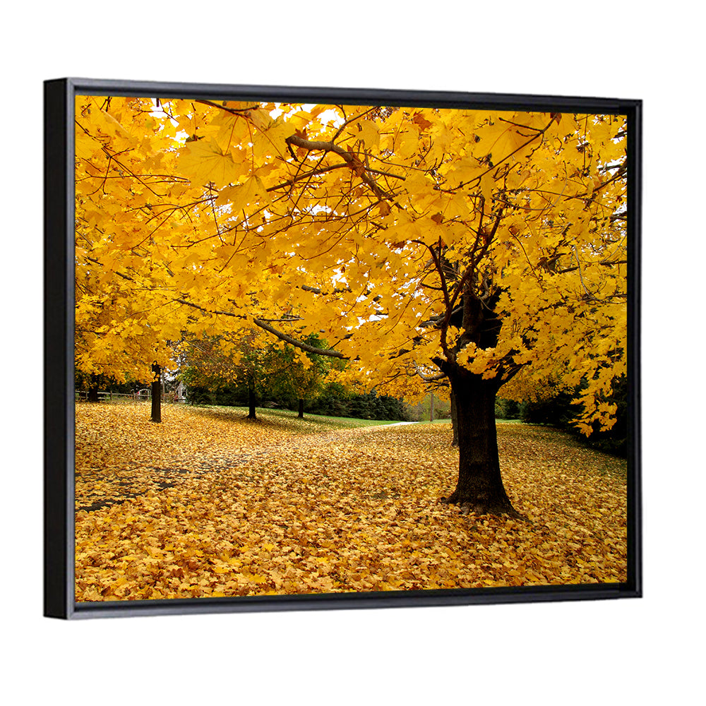 Baltimore Fall Foliage Wall Art