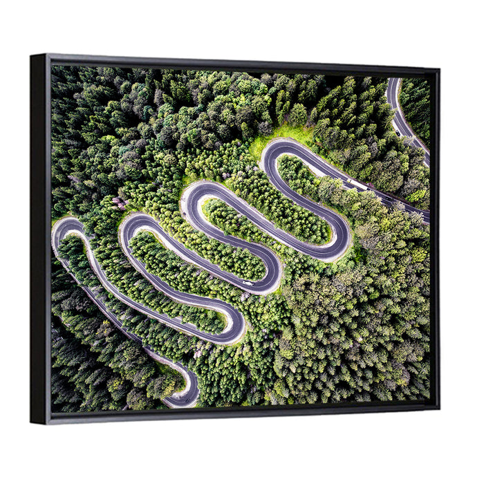 Serpentine Mountain Road Wall Art as a framed canvas