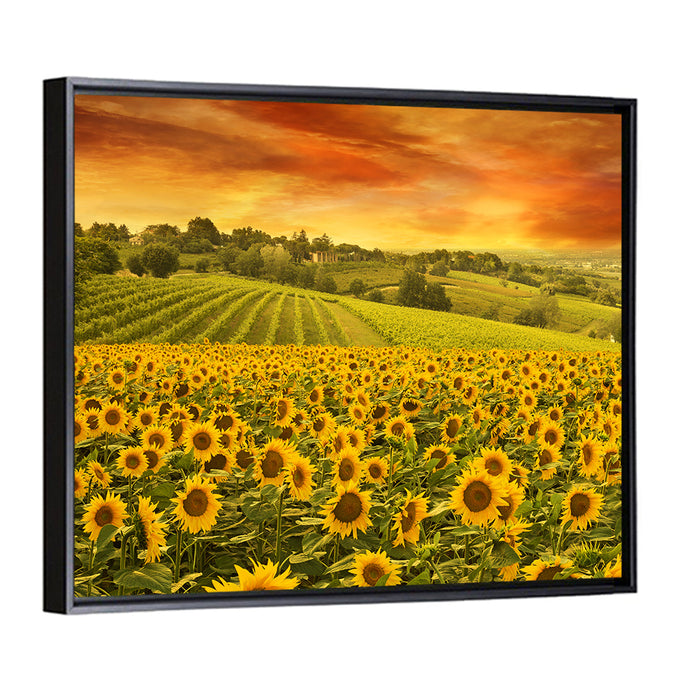 Sunflower Field at Golden Hour Wall Art as a framed canvas