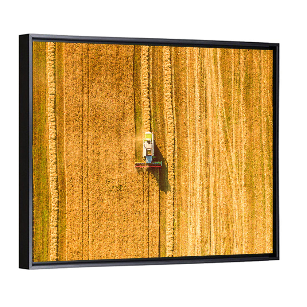 Wheat Field Harvesting Wall Art