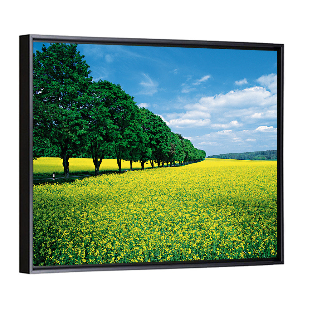 Spring Fields Wall Art