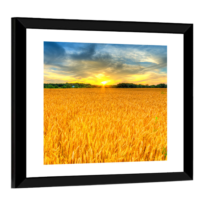 Wheat Field Sunset Wall Art as a framed print