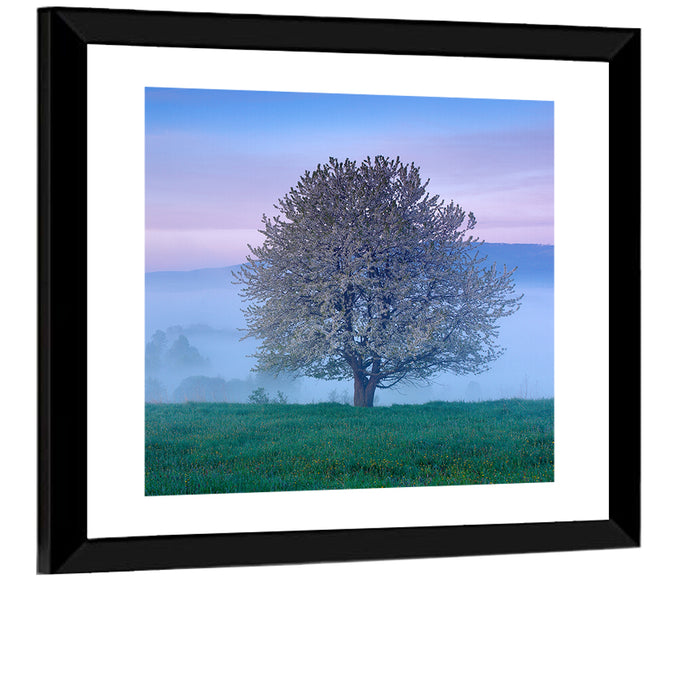 Misty Sumava Mountain Tree Wall Art as a framed print