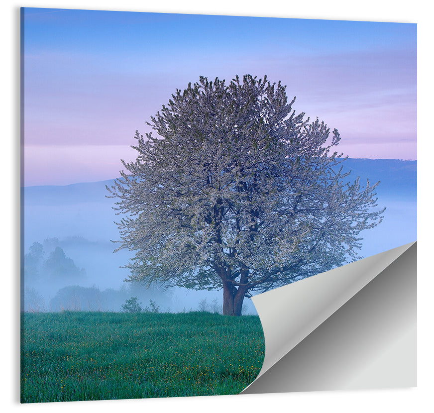 Sumava Mountain Tree Wall Art