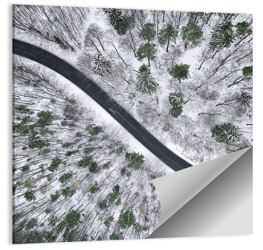 Snowy Forest Road Wall Art