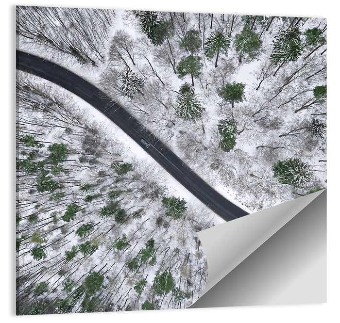 Snowy Forest Road Wall Art as a poster print