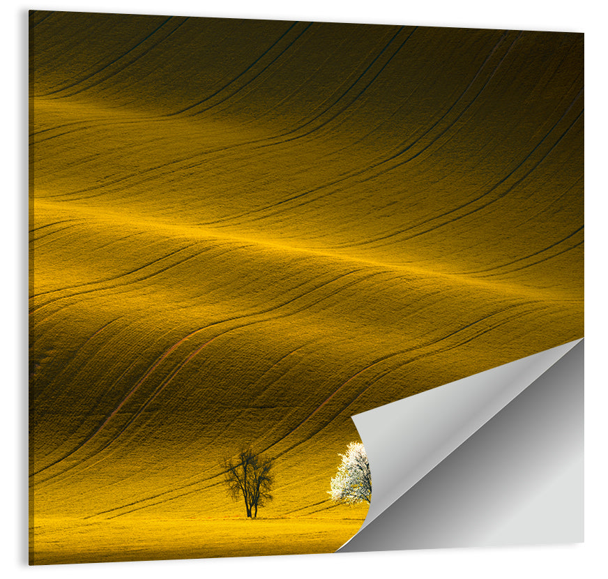 Wavy Rapeseed Field Wall Art