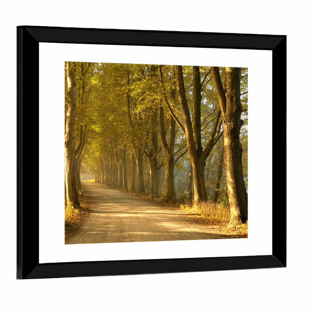 Countryside Road in Autumn Wall Art