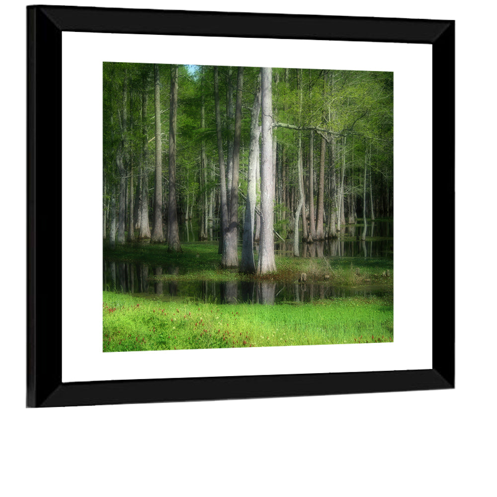 Lush Green Swamp Wall Art