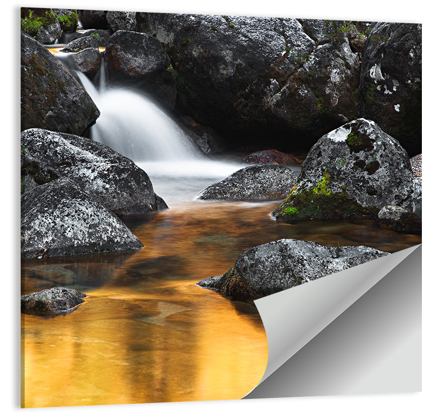Golden Stream Wall Art