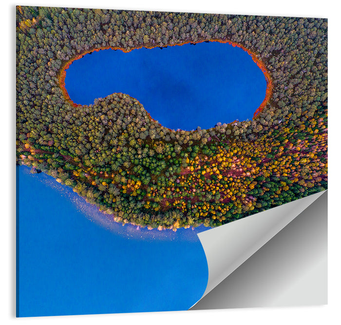 Autumn Forest Lake Wall Art as a poster print