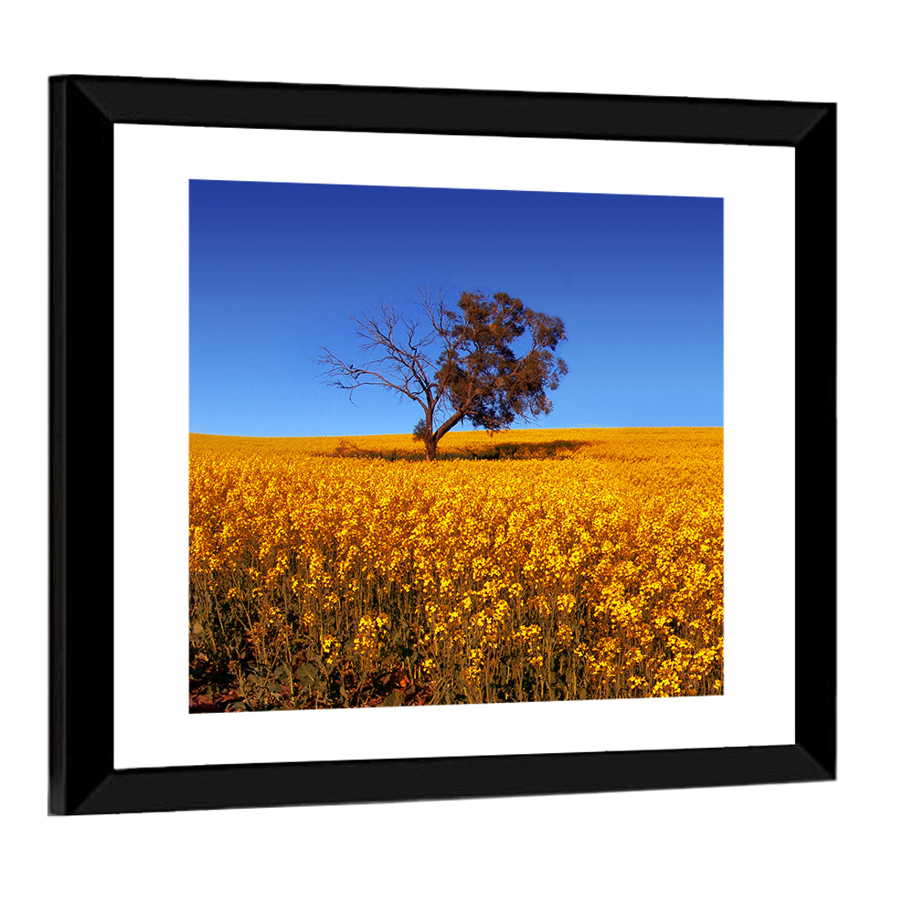 Rural Field Wall Art