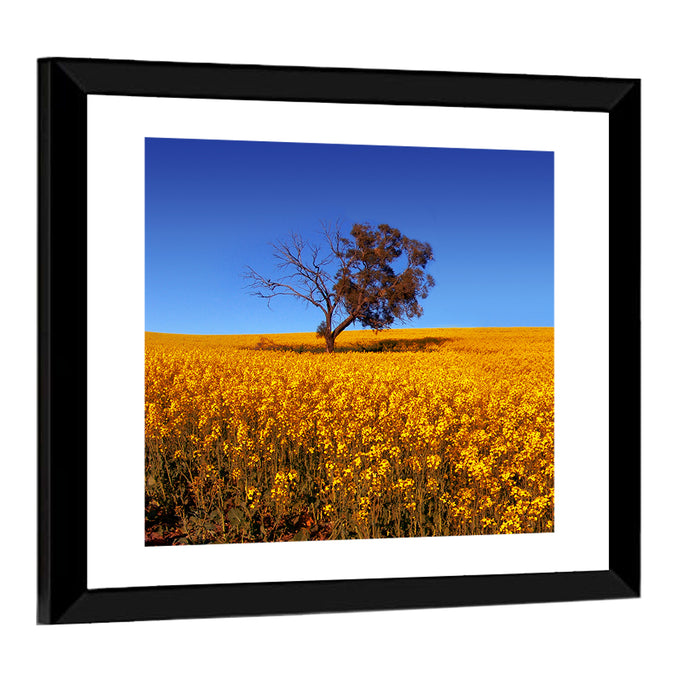 Canola Field with Lone Tree Wall Art as a framed print