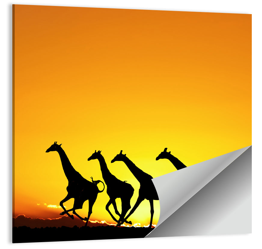 African Giraffes Wall Art