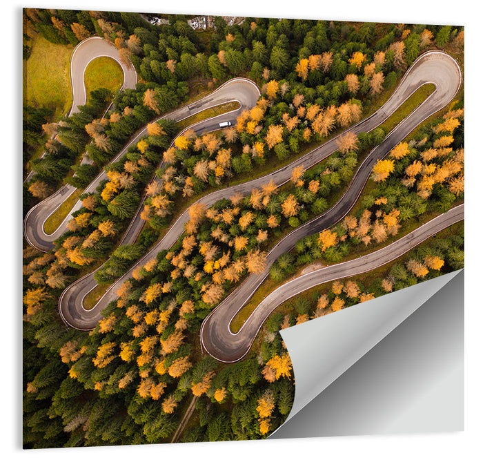 Aerial Curvy Forest Road Wall Art as a poster print