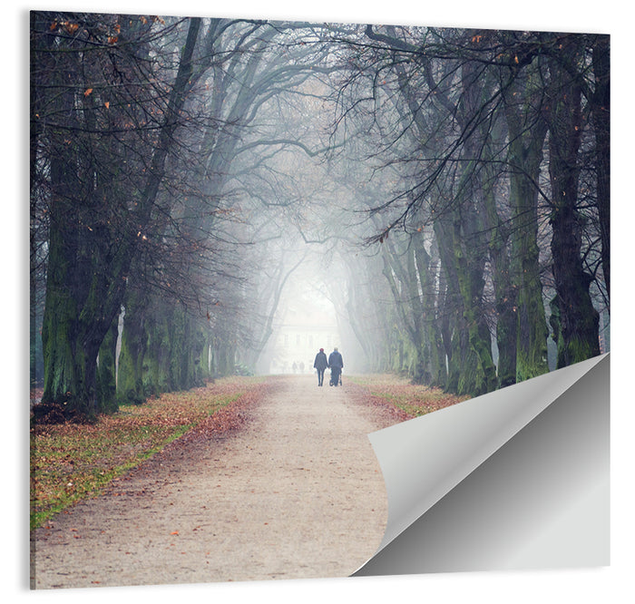 Foggy Tree Lined Walkway in Autumn Wall Art as a poster print