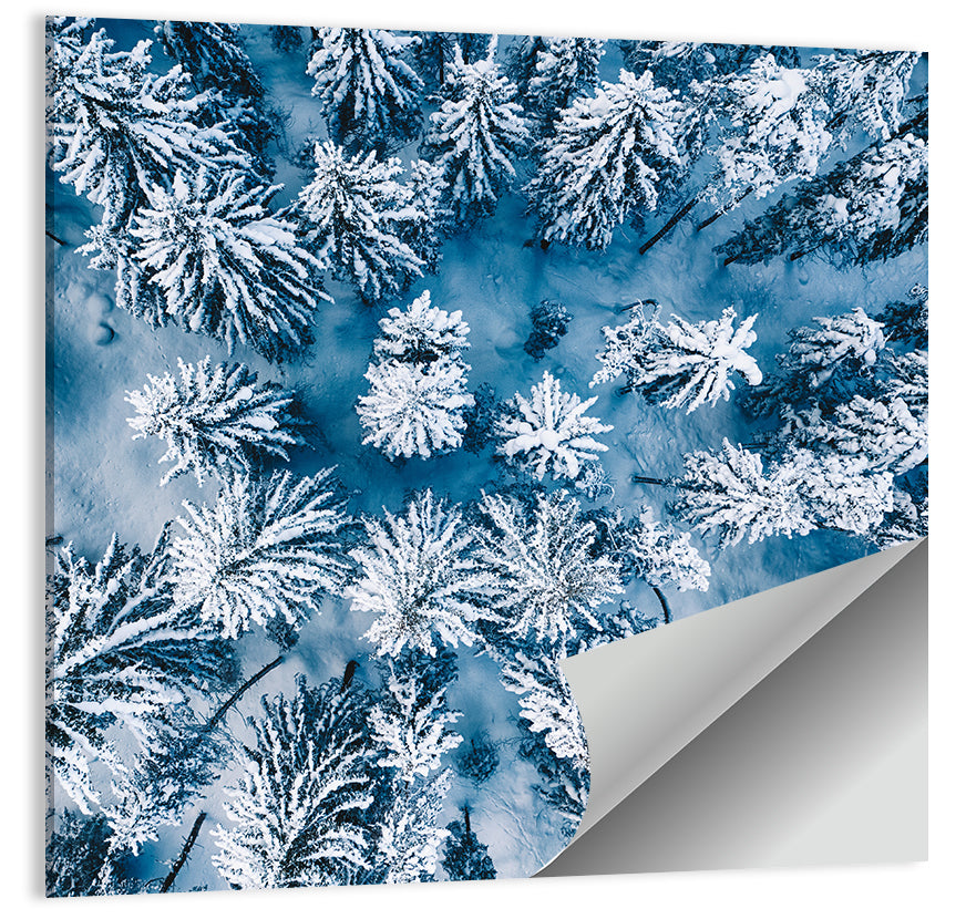 Aerial Snowy Forest Wall Art