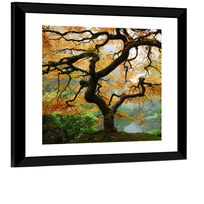 Japanese Autumn Maple Wall Art as a framed print