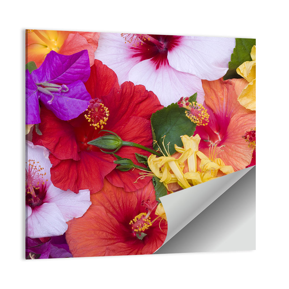 Bougainvillea And Hibiscus Flowers Wall Art