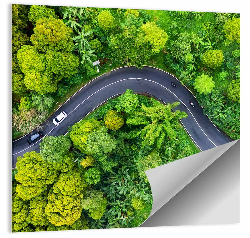 Summer Forest Road Aerial Wall Art