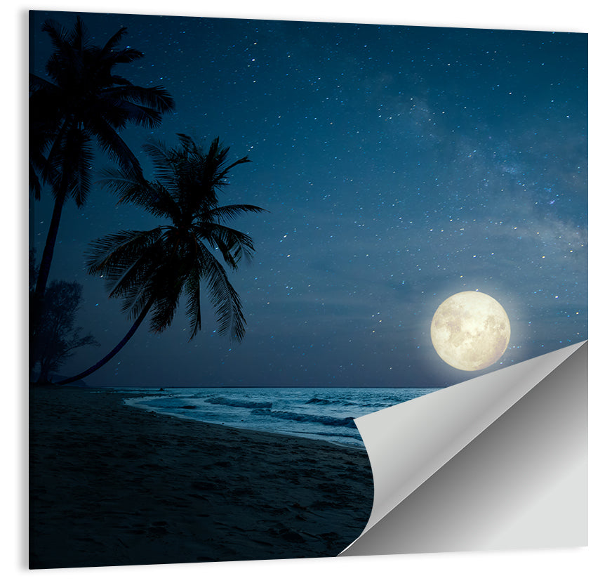 Palm Beach Moonset Wall Art