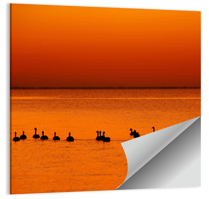 Geese Silhouettes at Orange Sunset Wall Art as a poster print