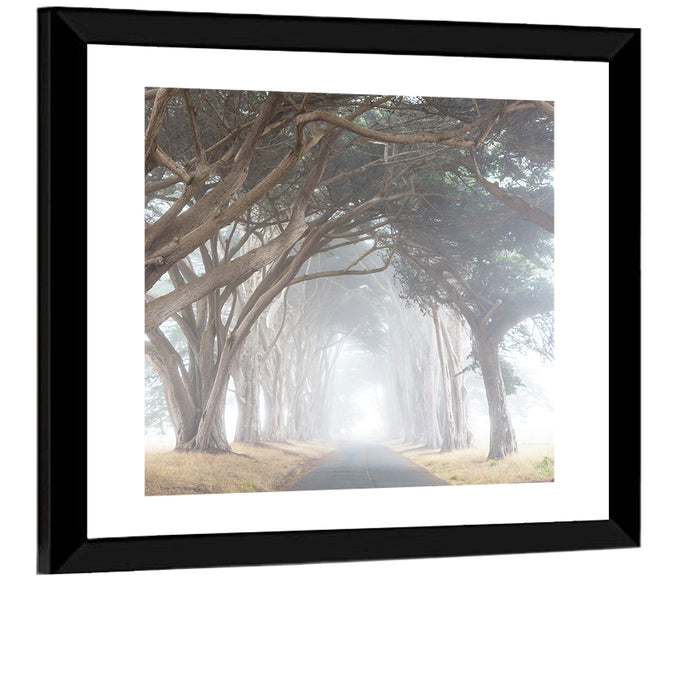 Misty Cypress Tunnel Wall Art as a framed print