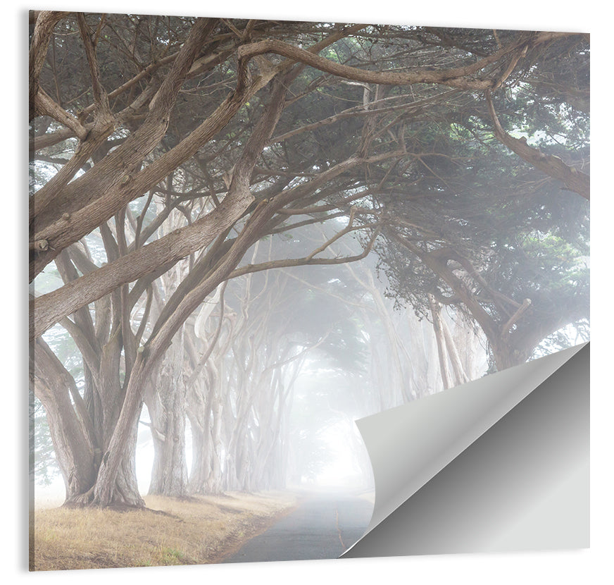 Misty Alley Trees Wall Art