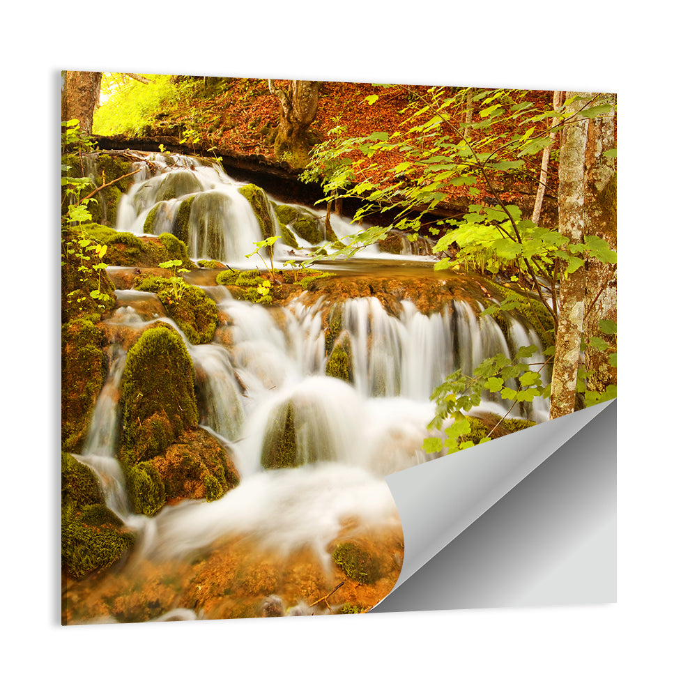 Plitvice Stream Wall Art