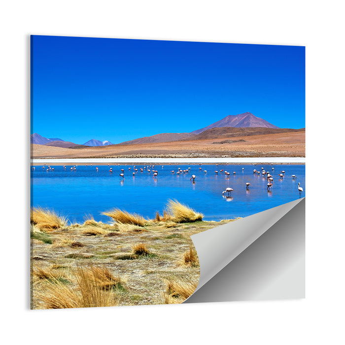Laguna Flamingo Lake Wall Art as a poster print