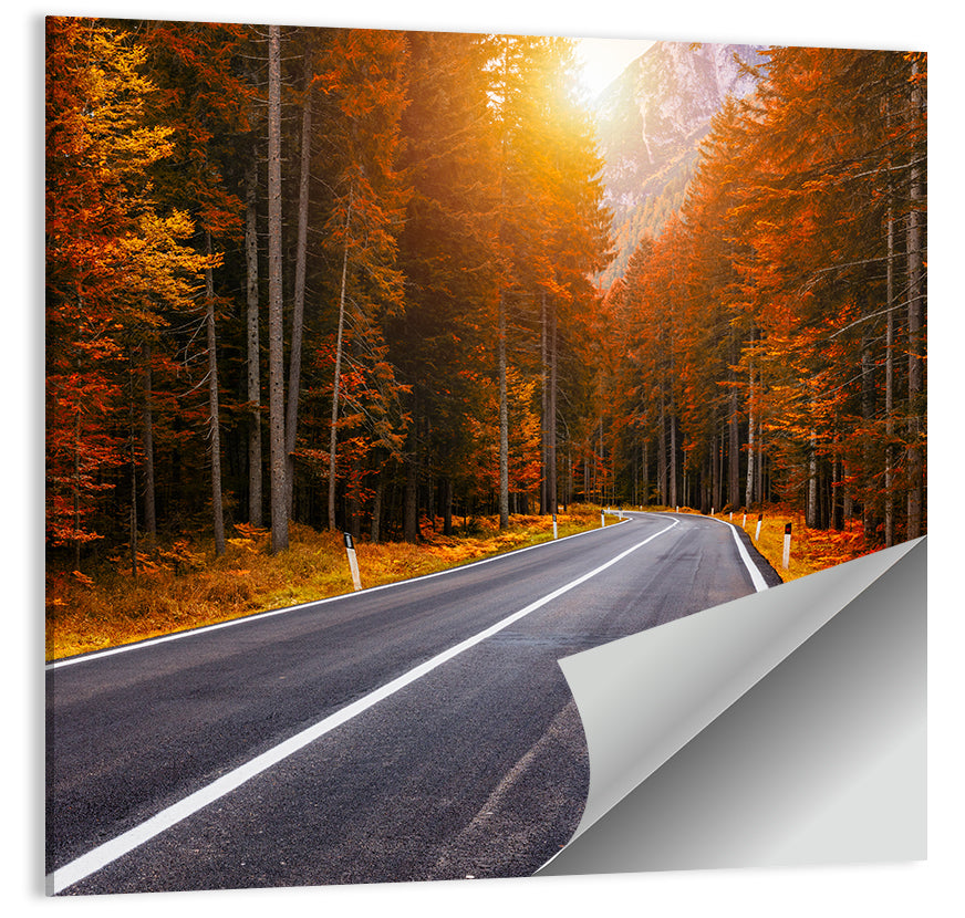 Autumn Forest Asphalt Road Wall Art