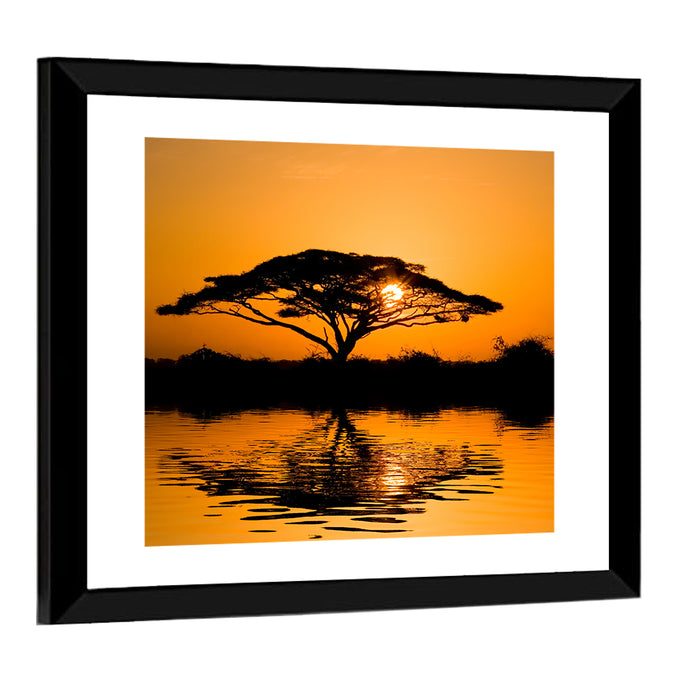 Acacia Tree at Sunrise Wall Art as a framed print