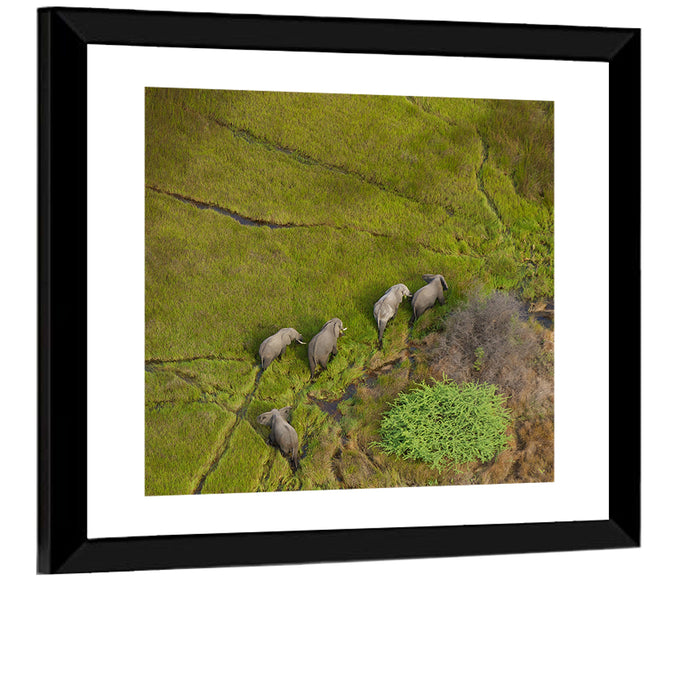 Aerial Herd of Elephants Wall Art as a framed print