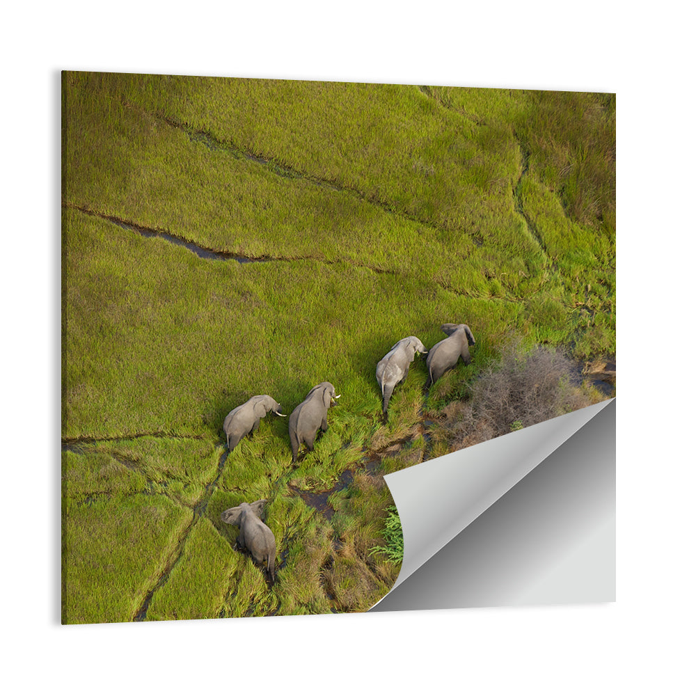 Elephants Herd Africa Wall Art