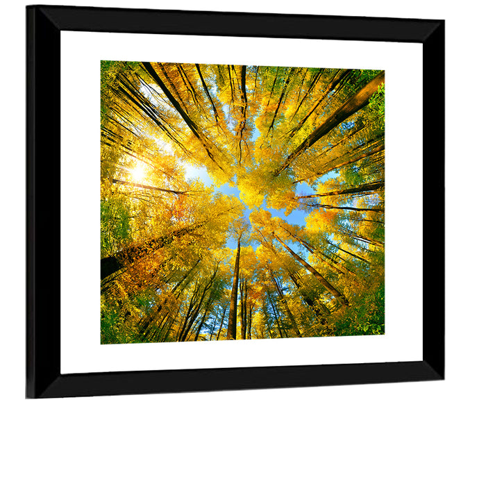 Golden Autumn Canopy Wall Art as a framed print