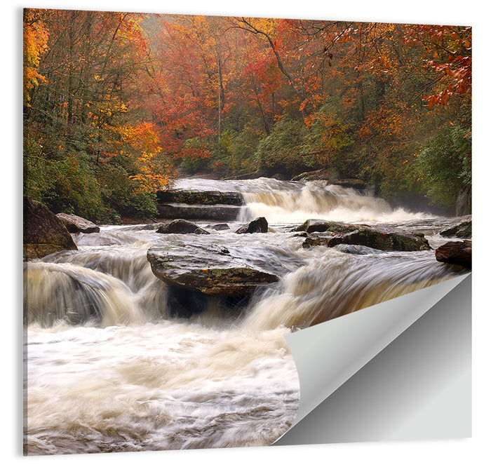 Carolina River in Autumn Wall Art as a poster print