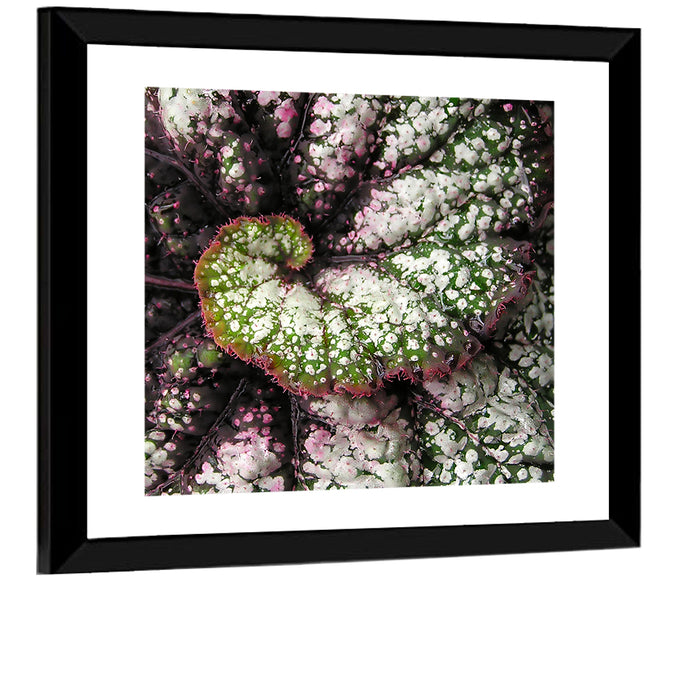 Begonia Leaf Spiral Geometry Wall Art as a framed print