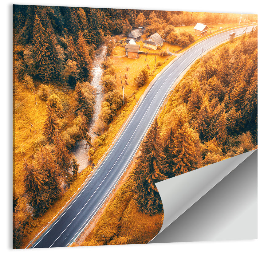 Carpathian Autumn Road Wall Art