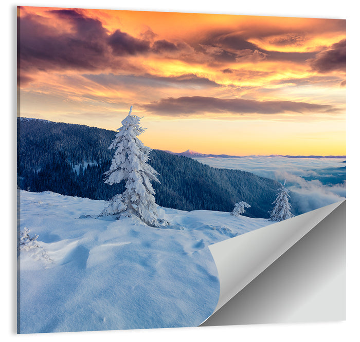 Carpathian Sunrise Wall Art as a poster print