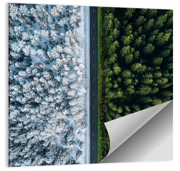 Summer and Winter Forests Wall Art as a poster print