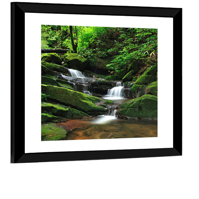 Mossy Rainforest Stream Wall Art as a framed print
