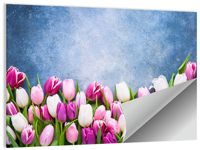 Tulips on Textured Blue Wall Art as a poster print