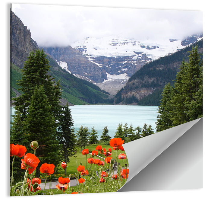 Lake Louise Poppies Wall Art as a poster print