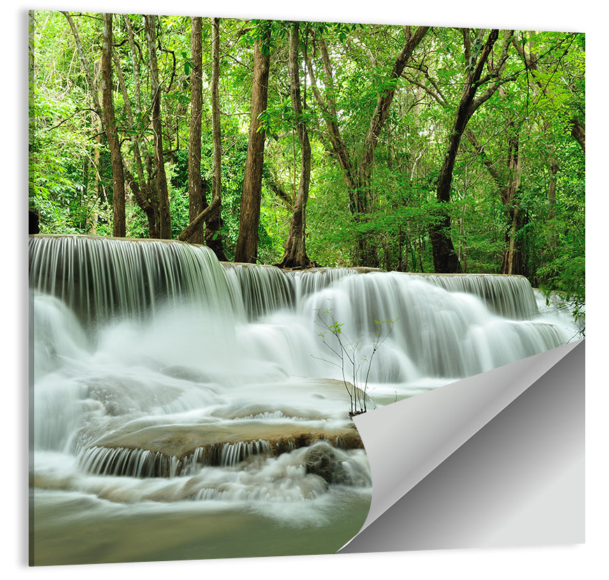 Forest Waterfall Wall Art