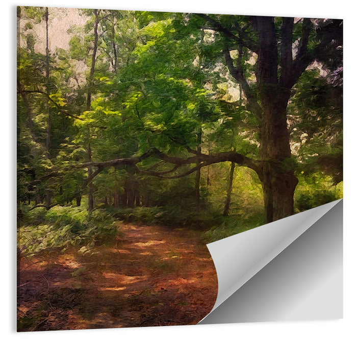 Sunlit Forest Trail Wall Art as a poster print