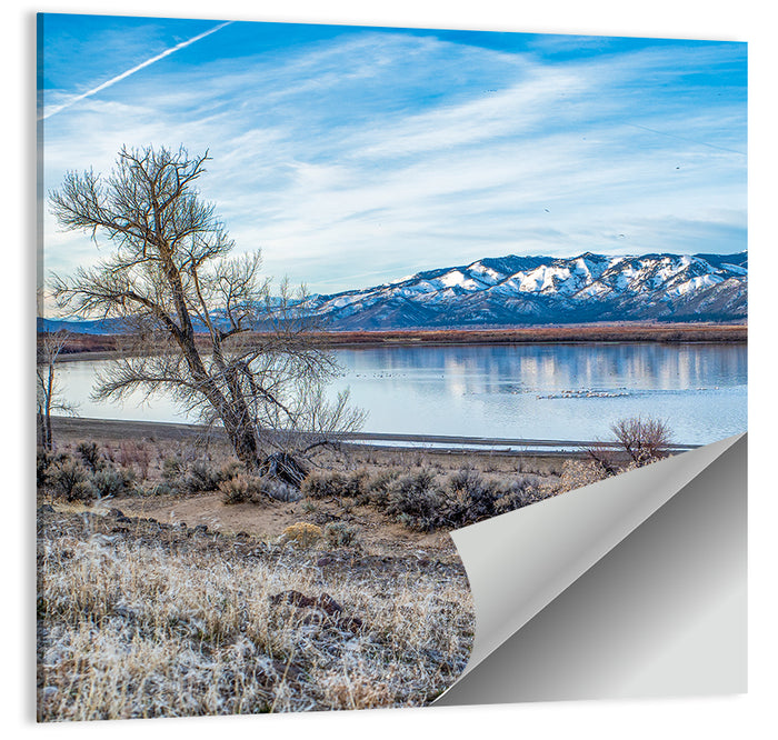 Winter Washoe Lake Morning Wall Art as a poster print